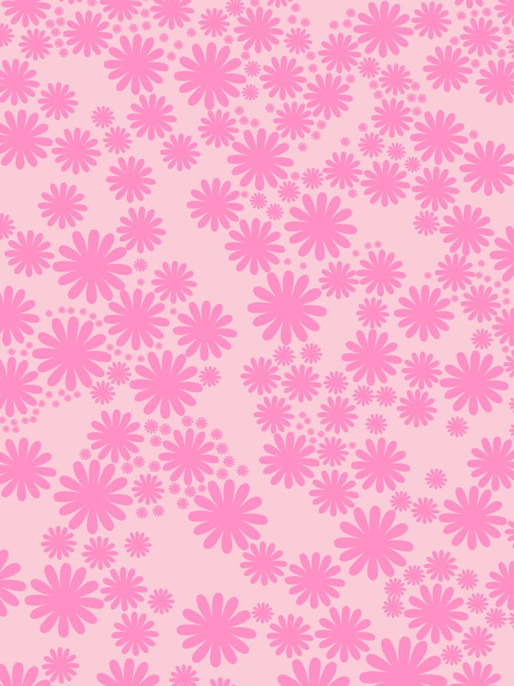 Jardin de marguerites | 04 - Rose