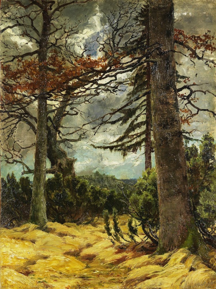 Forest Scene