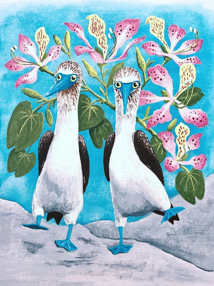 Blue-footed Boobies: Galapagos Seabirds