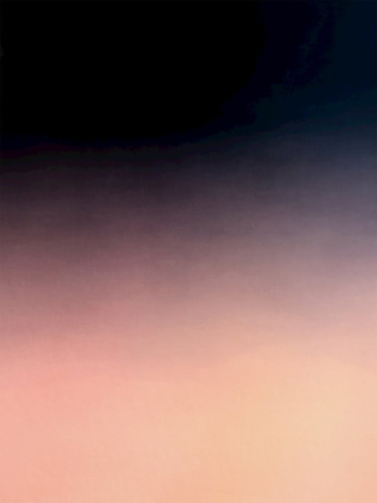 Late Afternoon - 03