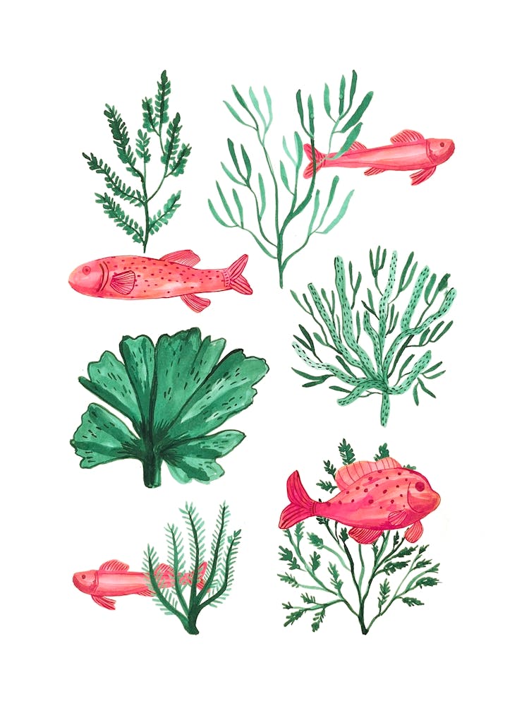 Watercolor Fish And Corals