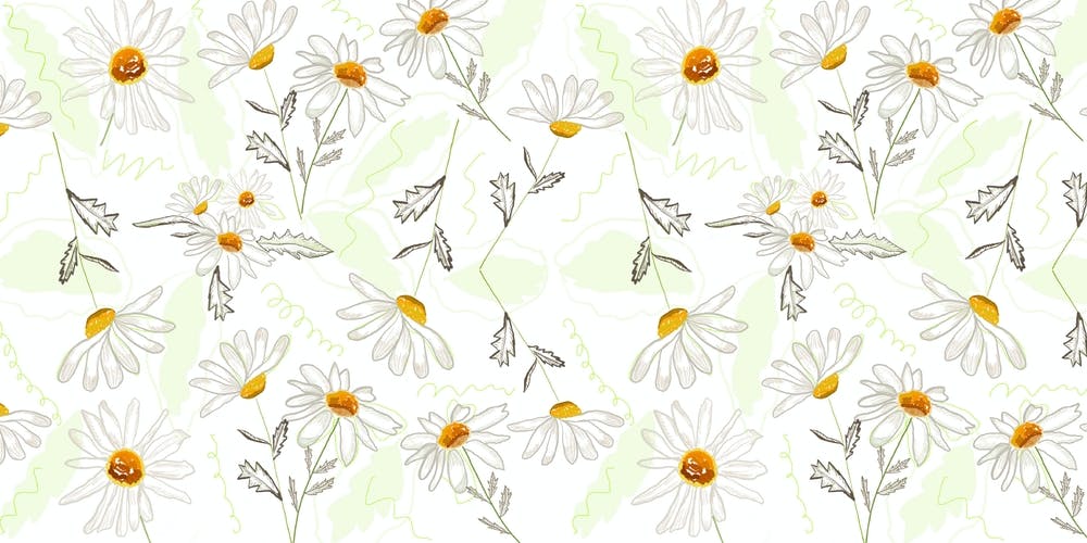 Spring Time Colorful Daisies Pattern