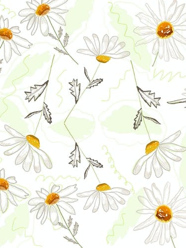 Spring Time Colorful Daisies Pattern