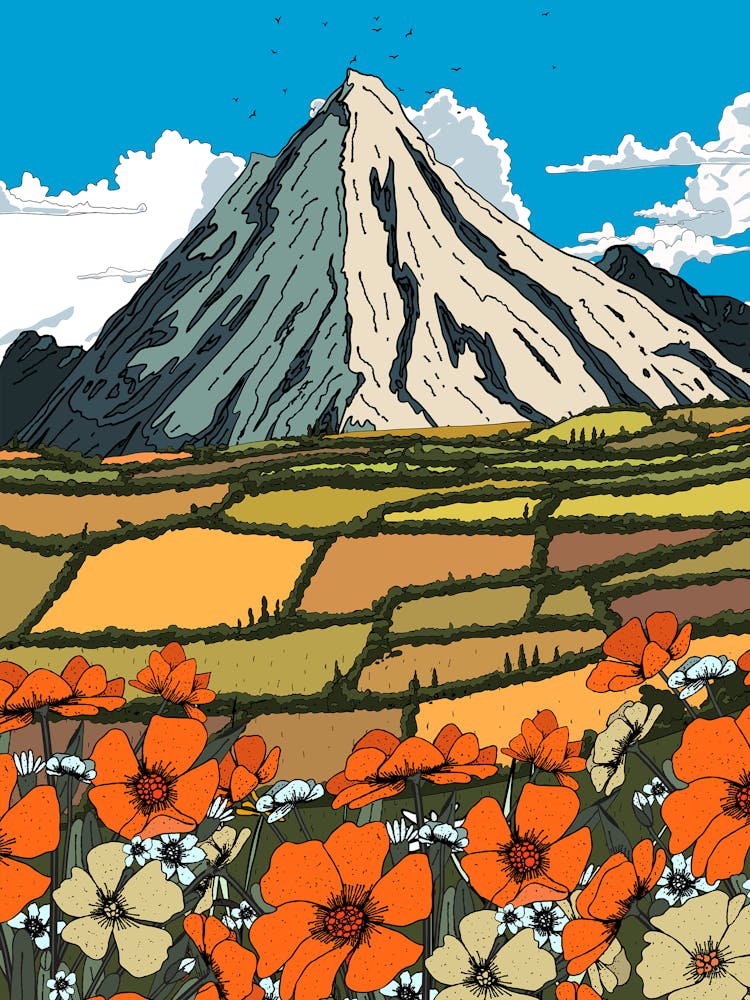 Coquelicots Dans Les Montagnes 1