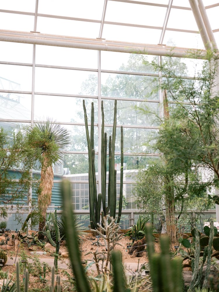 Brooklyn Greenhouse Nyc 2