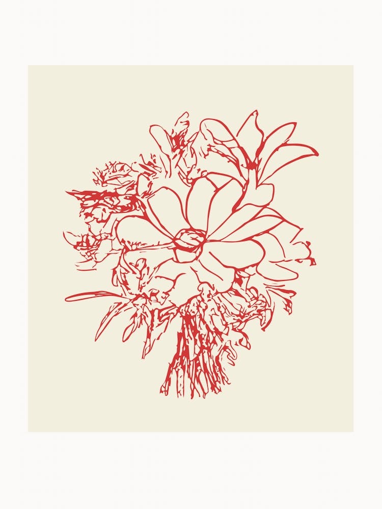 Botanica line no 22