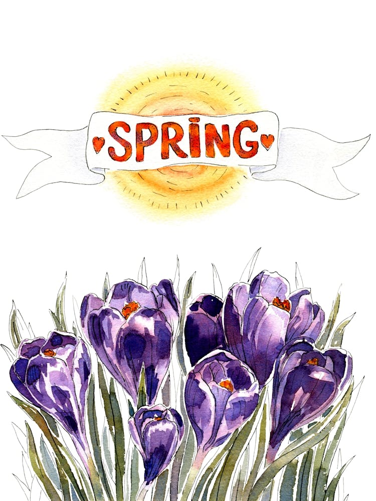 Watercolor Spring Flowers Crocuses And Sun