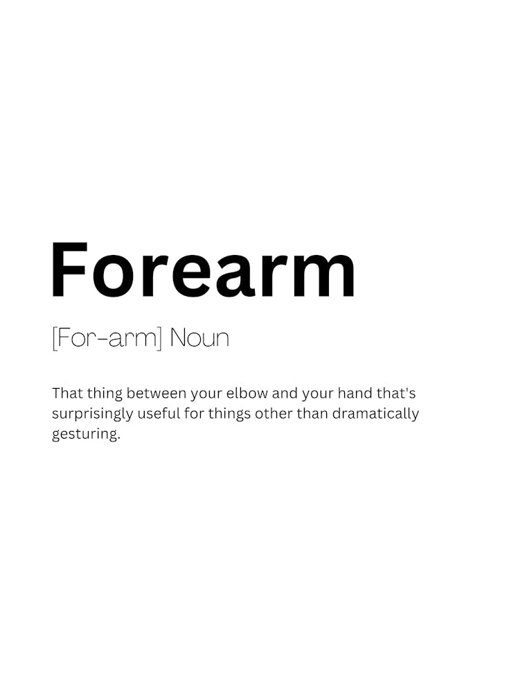 Forearm Definition Meaning