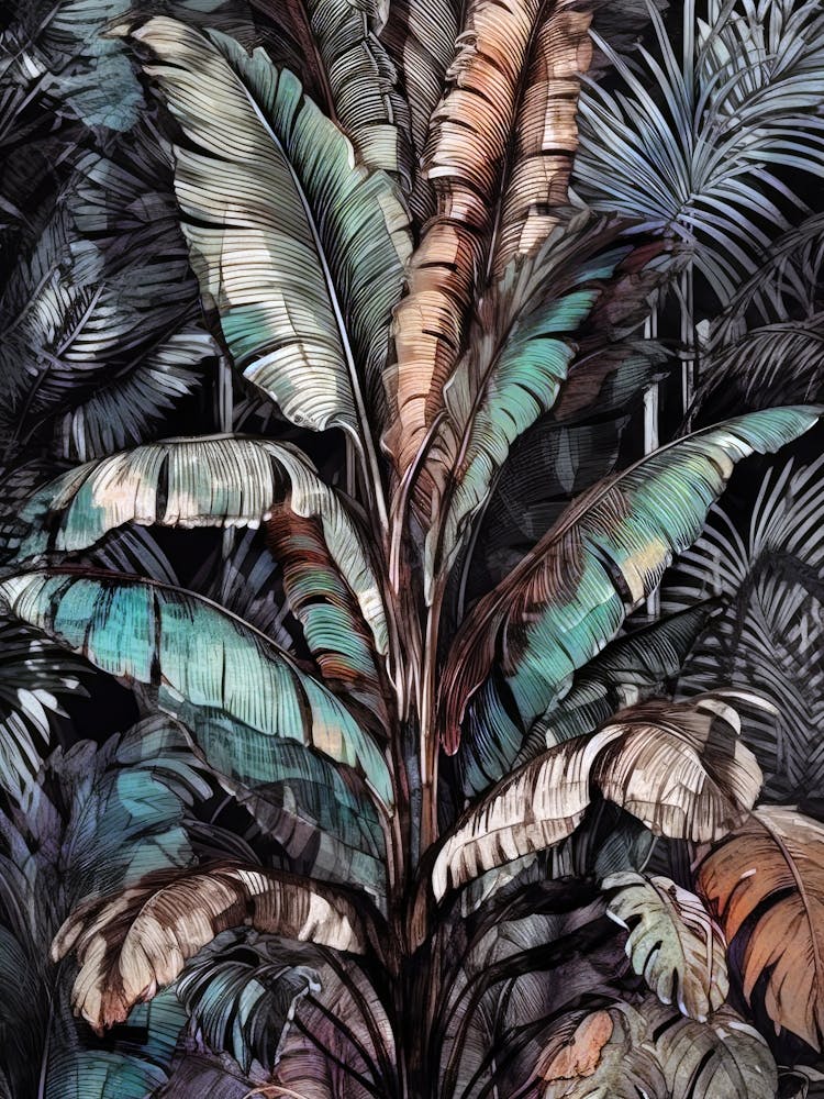 Tropical Jungle nature forest botany 2