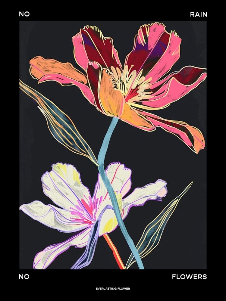 No Rain No Flowers Affiche Fleur Éternelle 2