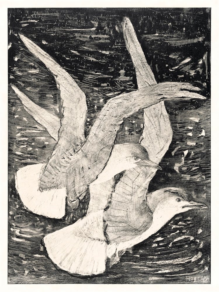 Two Flying Seagulls (1873–1917), Theo Van Hoytema