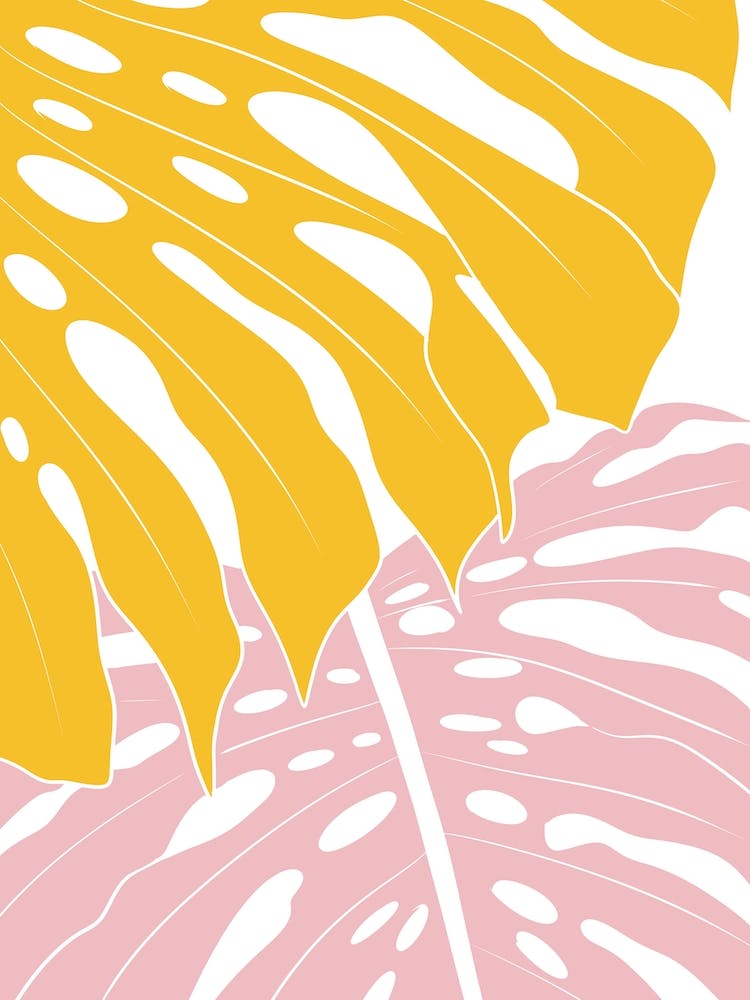 Yellow And Pink Monstera Leaves