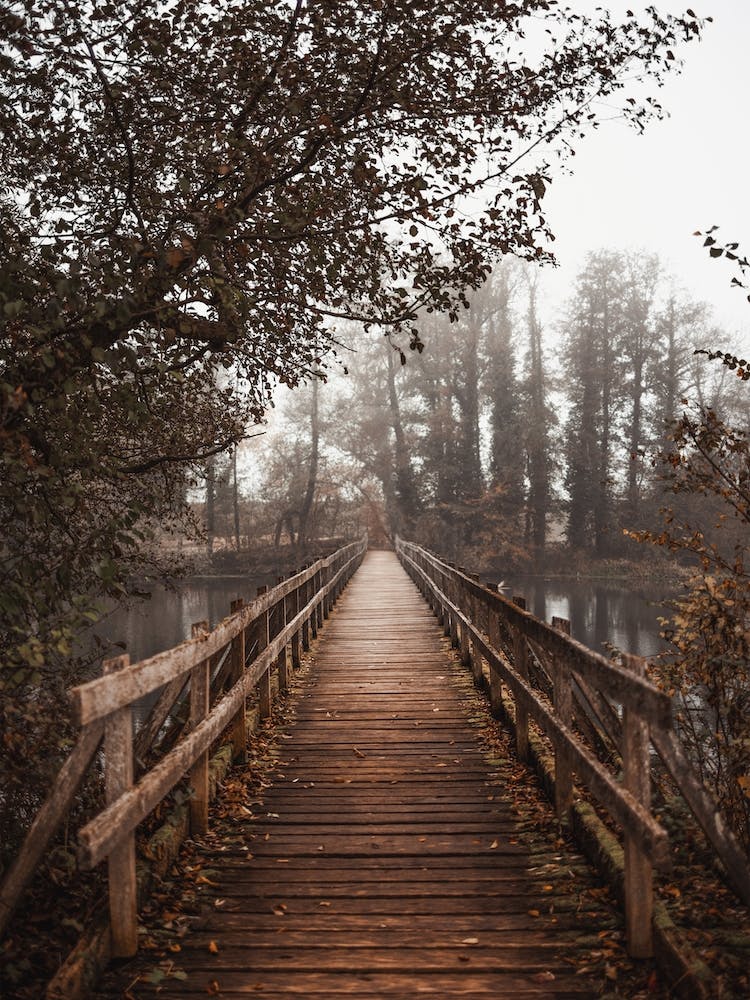 Wooden Bridge Over Pond