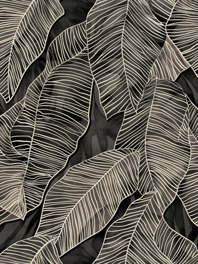Black And White Tropical Leaves 1