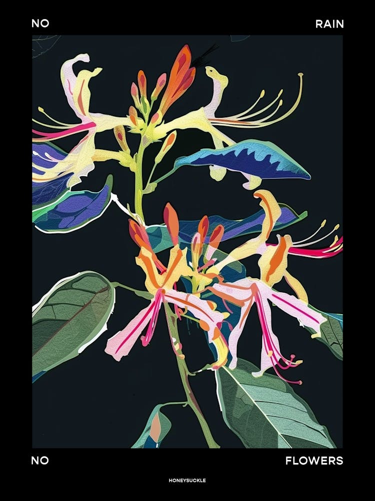 No Rain No Flowers Poster Honeysuckle 3