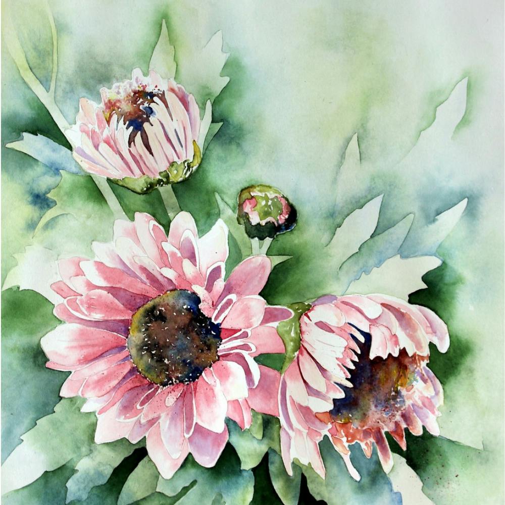 Pink Sunflowers