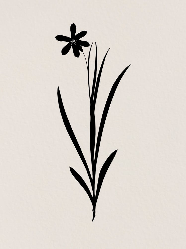Flower - 01