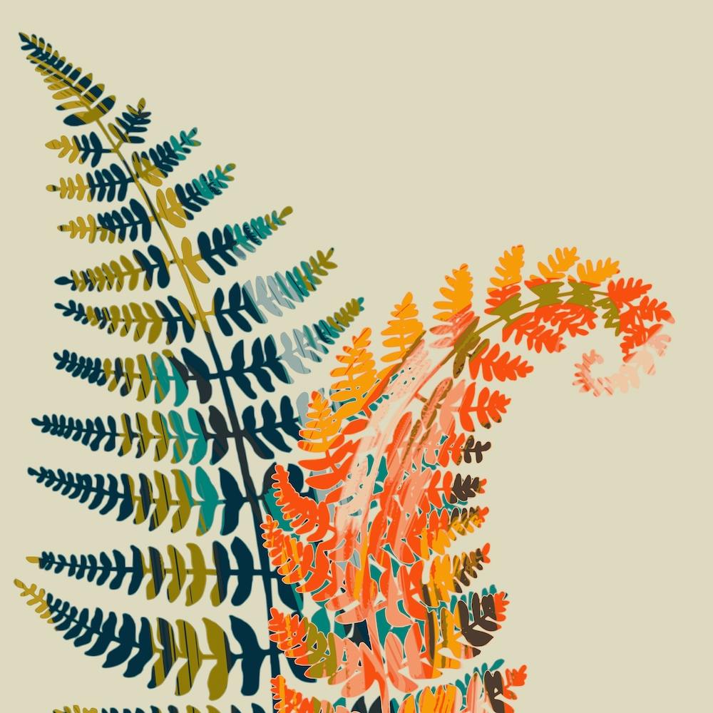Colorful Fern Leaves