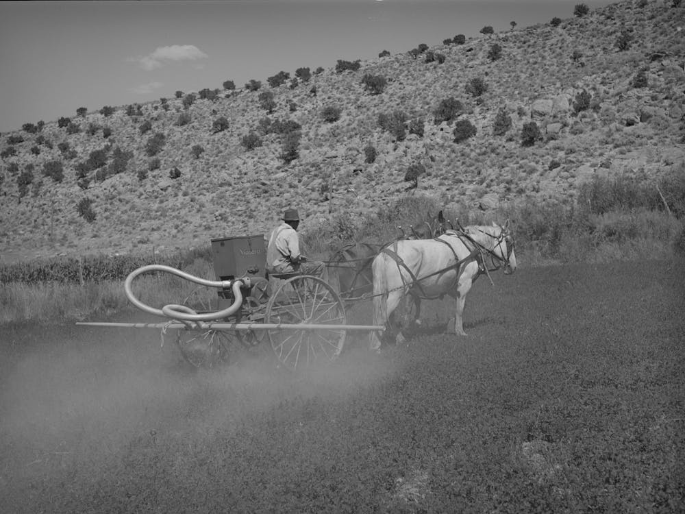 Untitled Photo, Possibly Related To The Duster Of The Allen Valley Duster Association Dusting Alfalfa, Sanpete