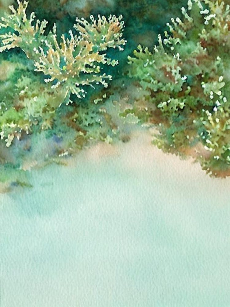 Acropora Microphthalma Märchenbuch-Aquarell