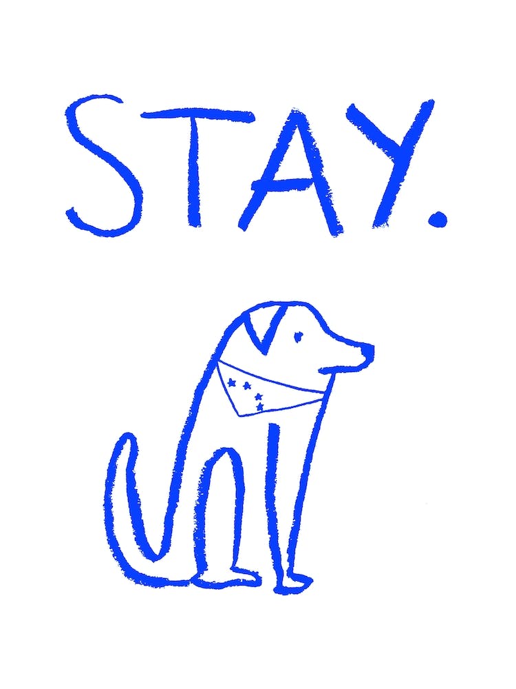 Stay