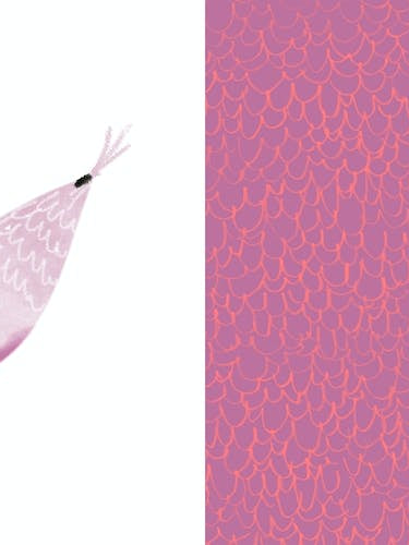 Your Brain Was Built For Fly