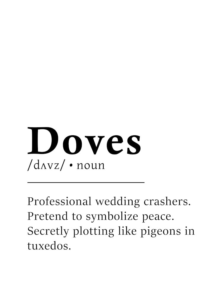 Doves Definition Poster - Wörterbuch