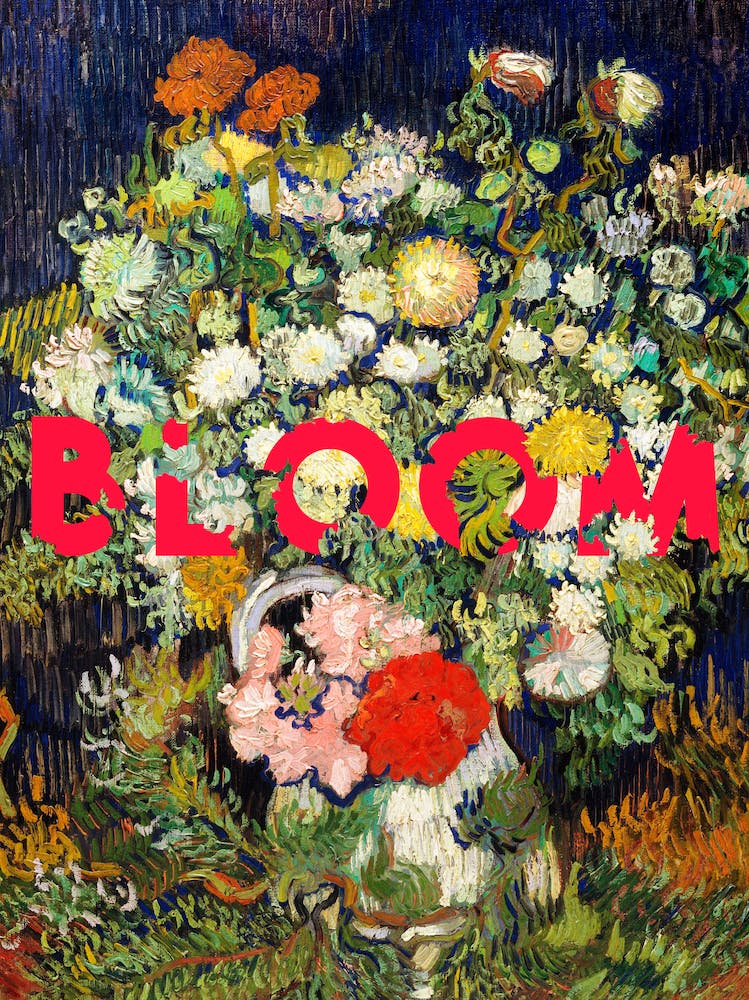 Bloom 1