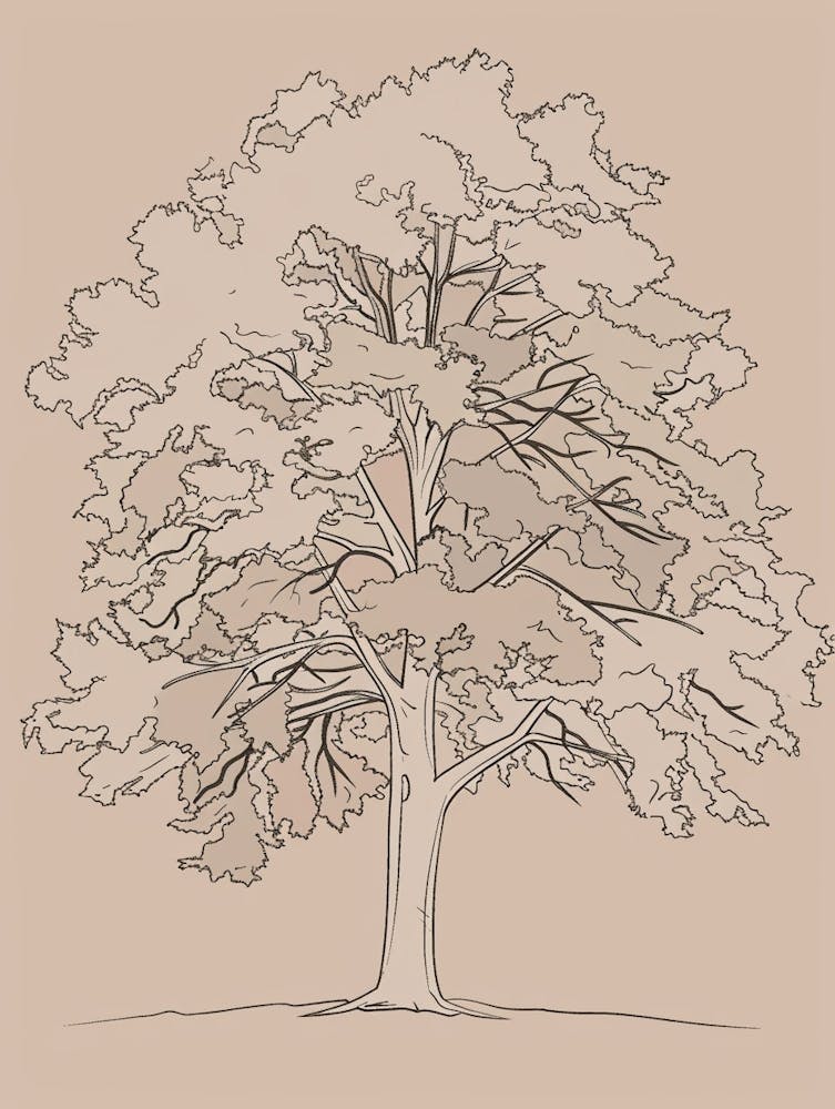 Oak Tree Minimalistic Drawing 3