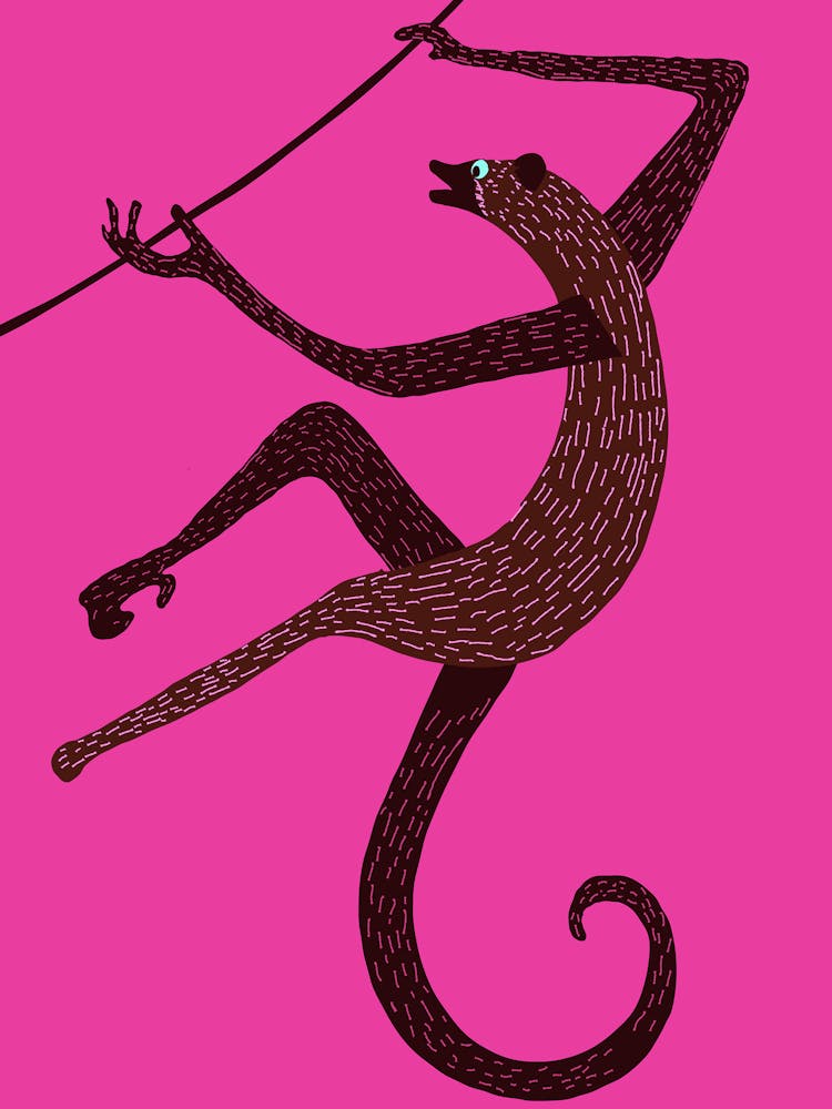 Monkey On A Wire