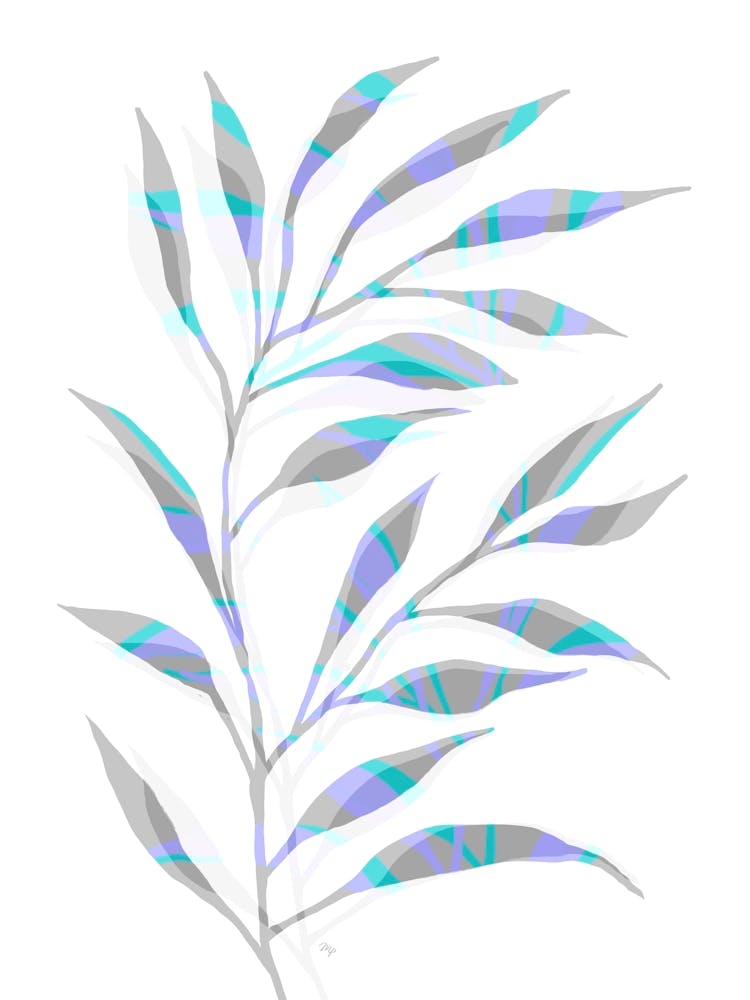 Blue Bamboo Plant