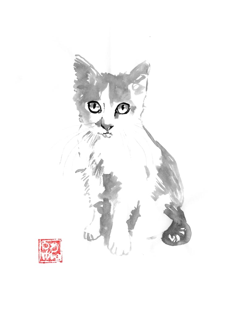 Little Cat
