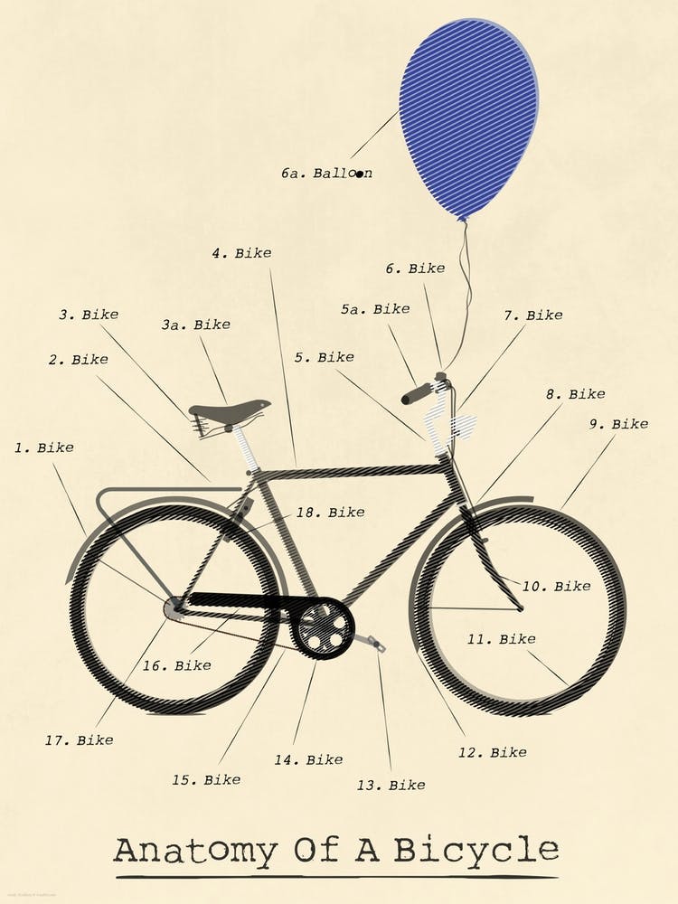 Anatomy Of A Bicycle