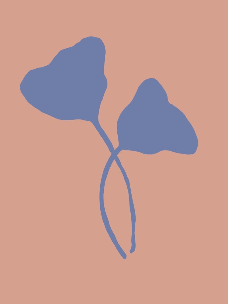 Floral color party no 14