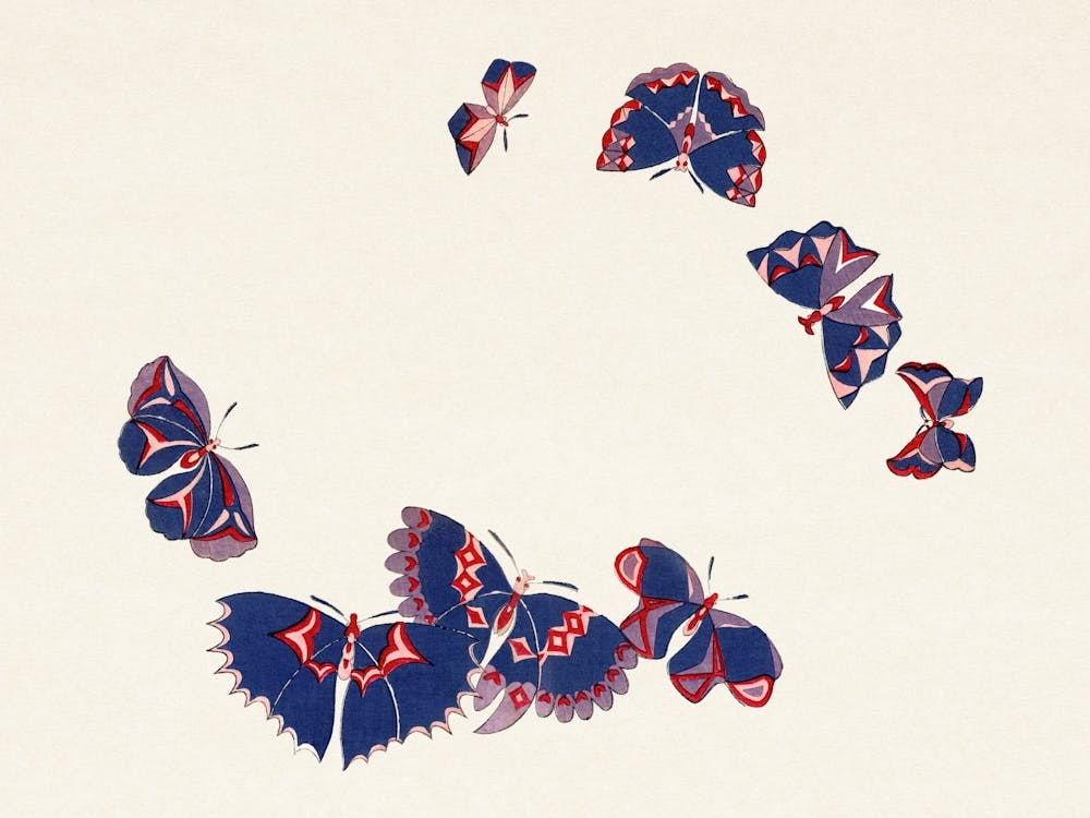 Vintage Butterfly, Cho Senshu (7)