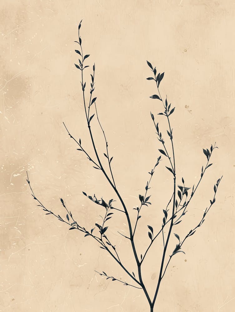 Vancouver Flower Market Boho Minimalist Style