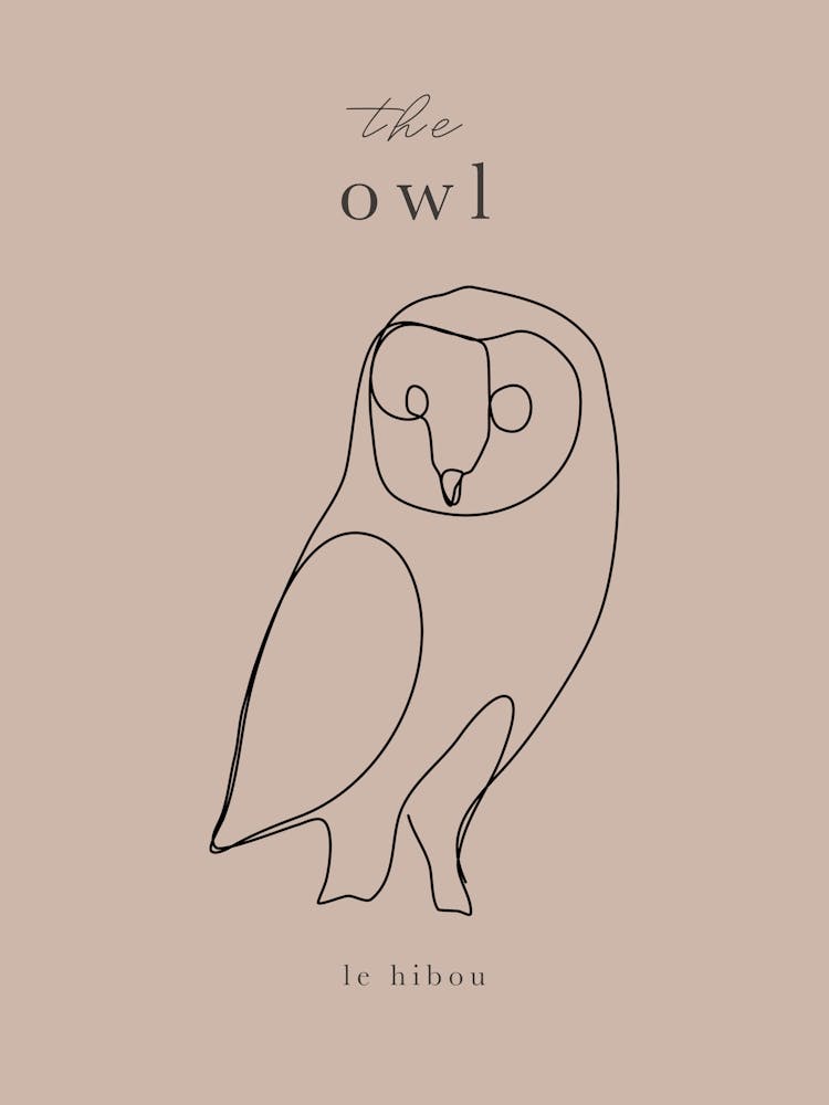 The Owl