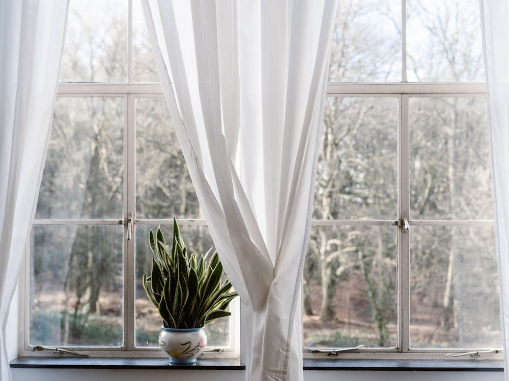 The Windows The White Curtans And The Green