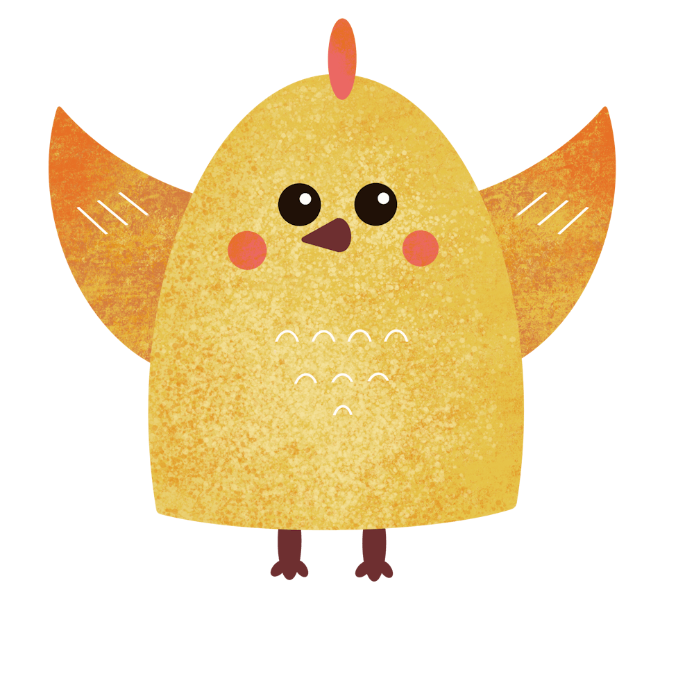 Baby chick