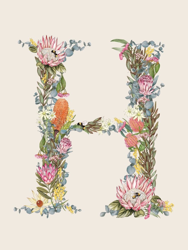 H Oat Alphabet Letter