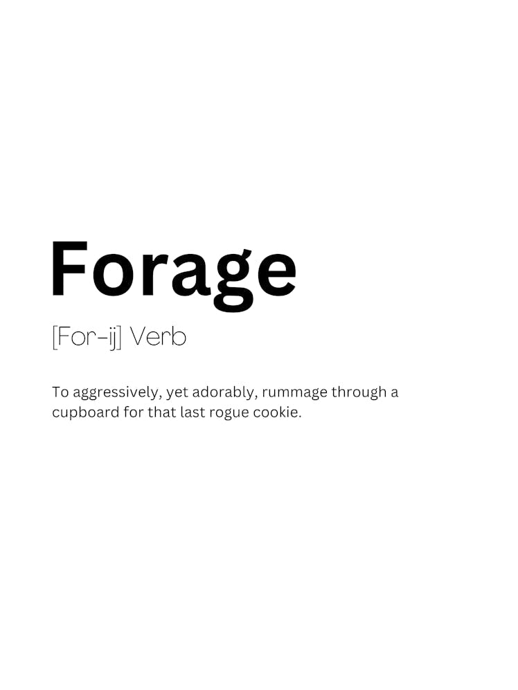 Forage Definition Meaning 1