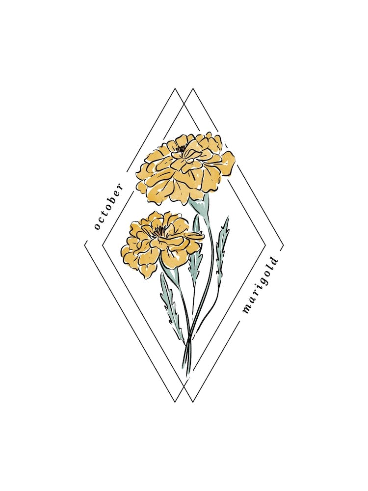 October Marigold Birth Flower