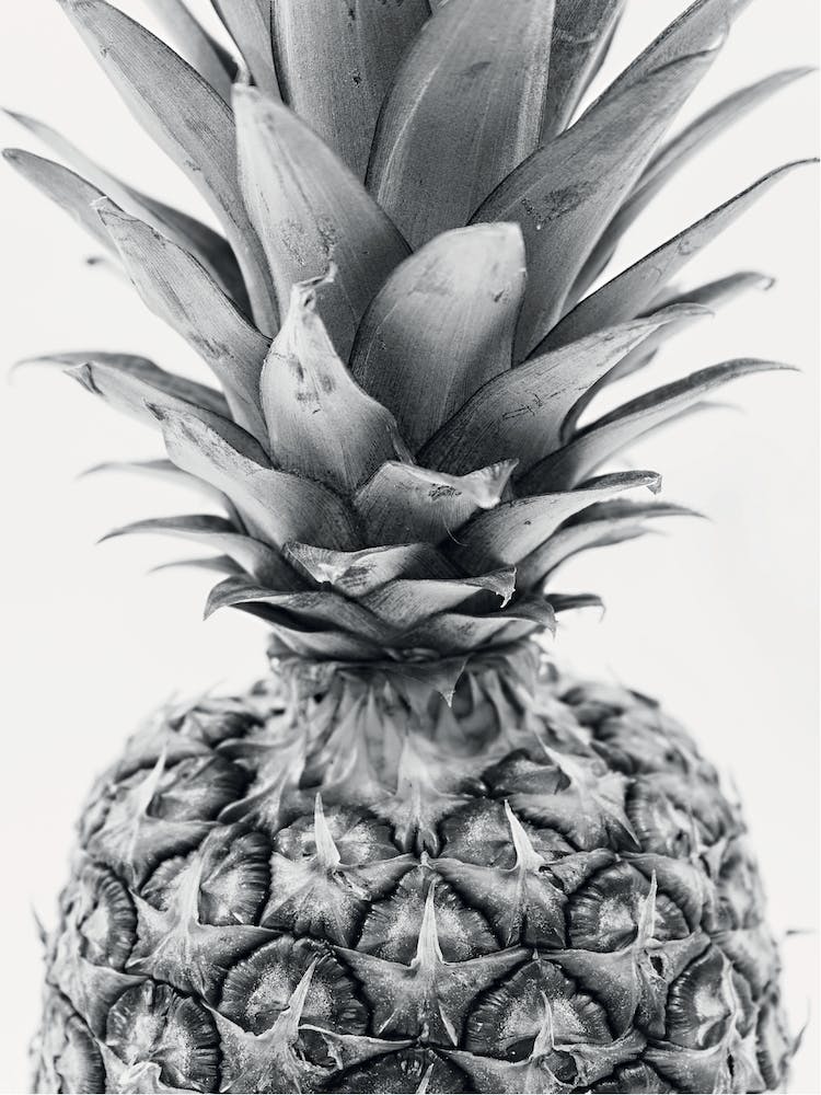 Realistic Pineapple