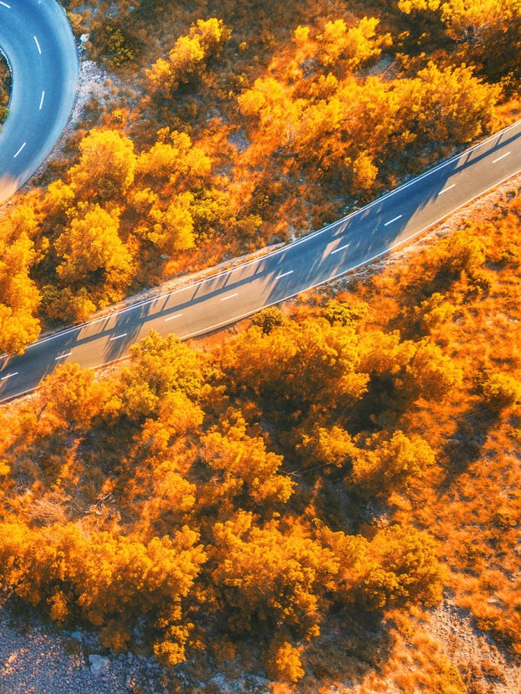 Aerial View Of A Winding Road 1