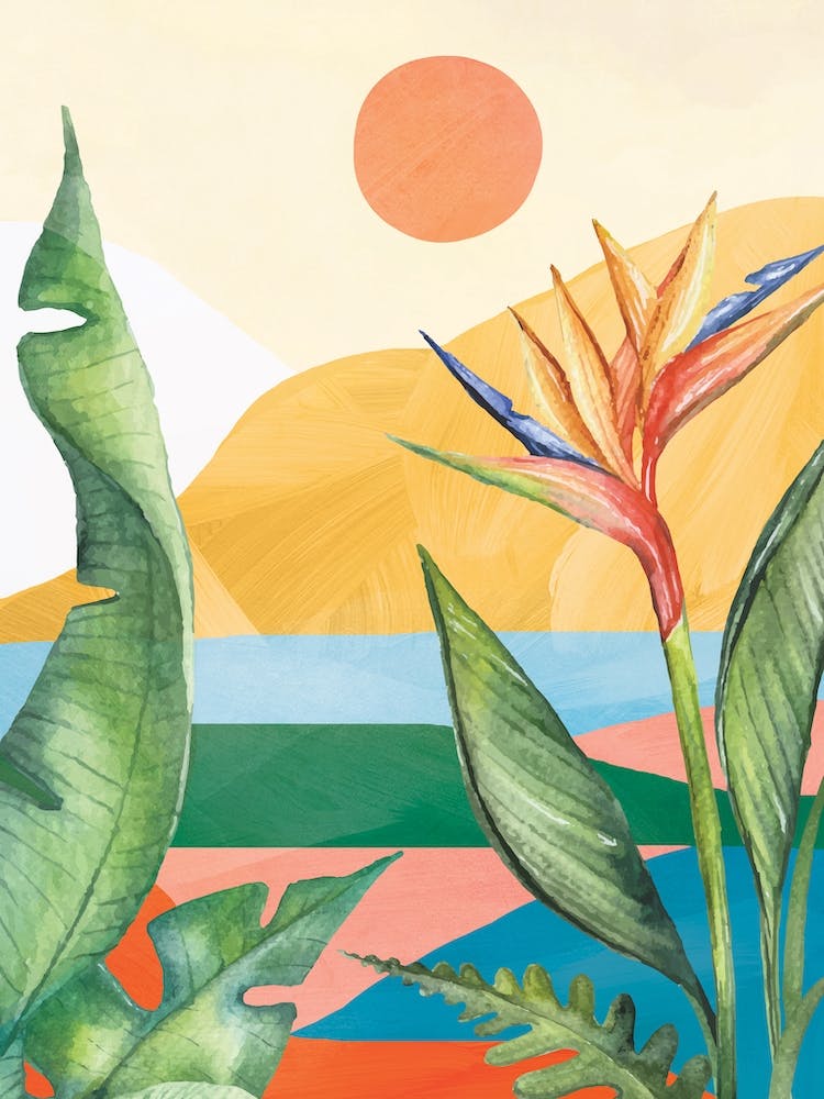 A Tropical Summer Day 2