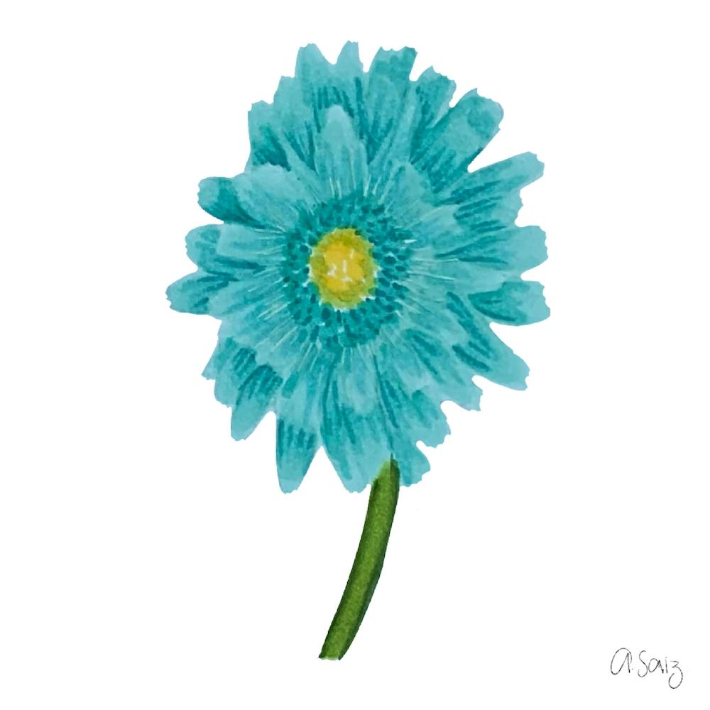 Turquoise Gerbera