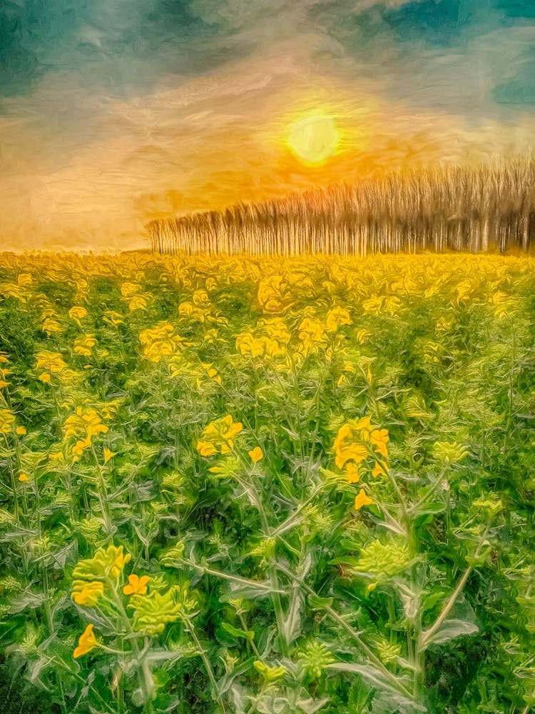 Rural Radiance
