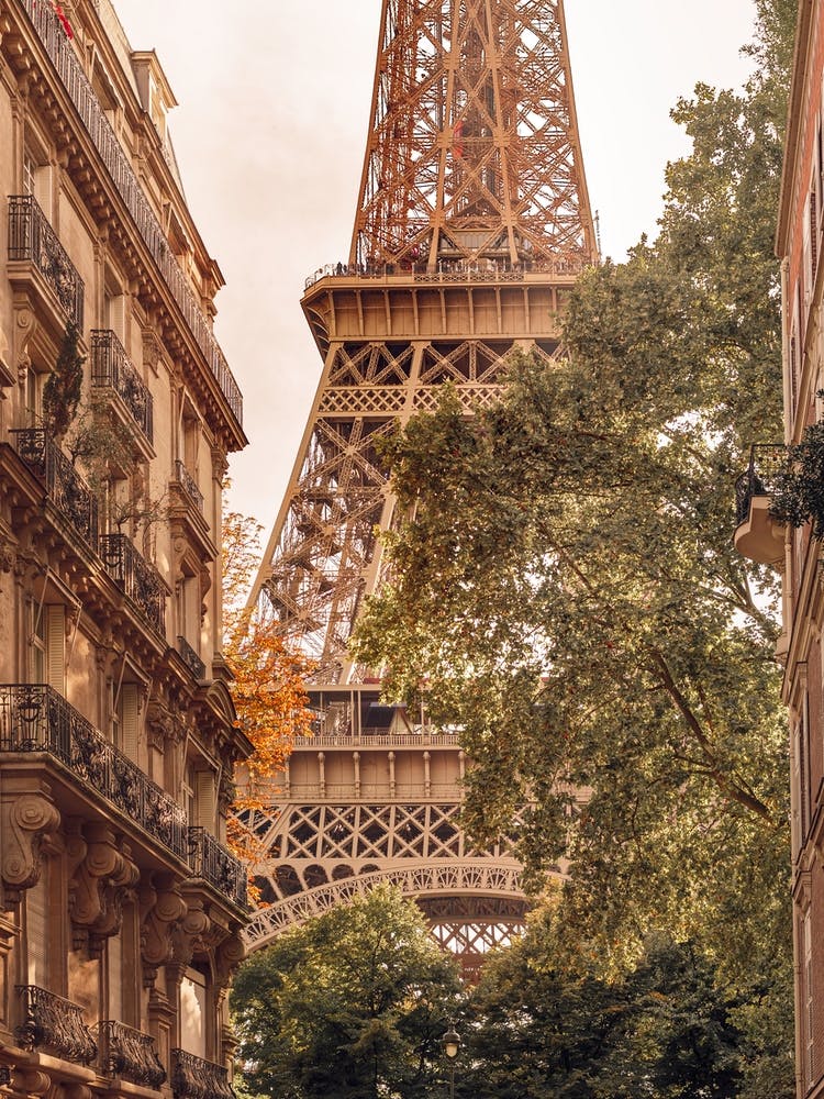 Eiffel Tower Between Buildings And Trees Paris