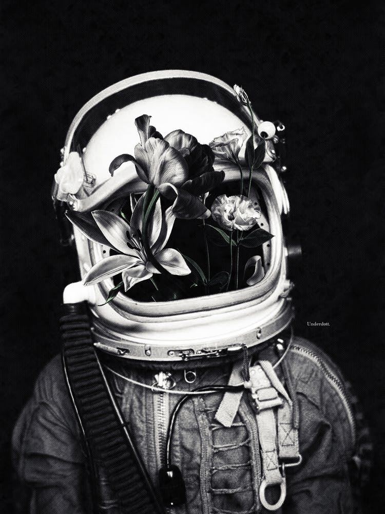 Astronauten und Blumen