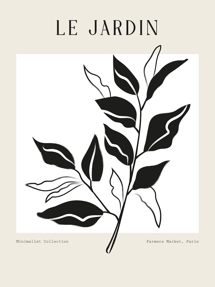 Harmonic lines no 85